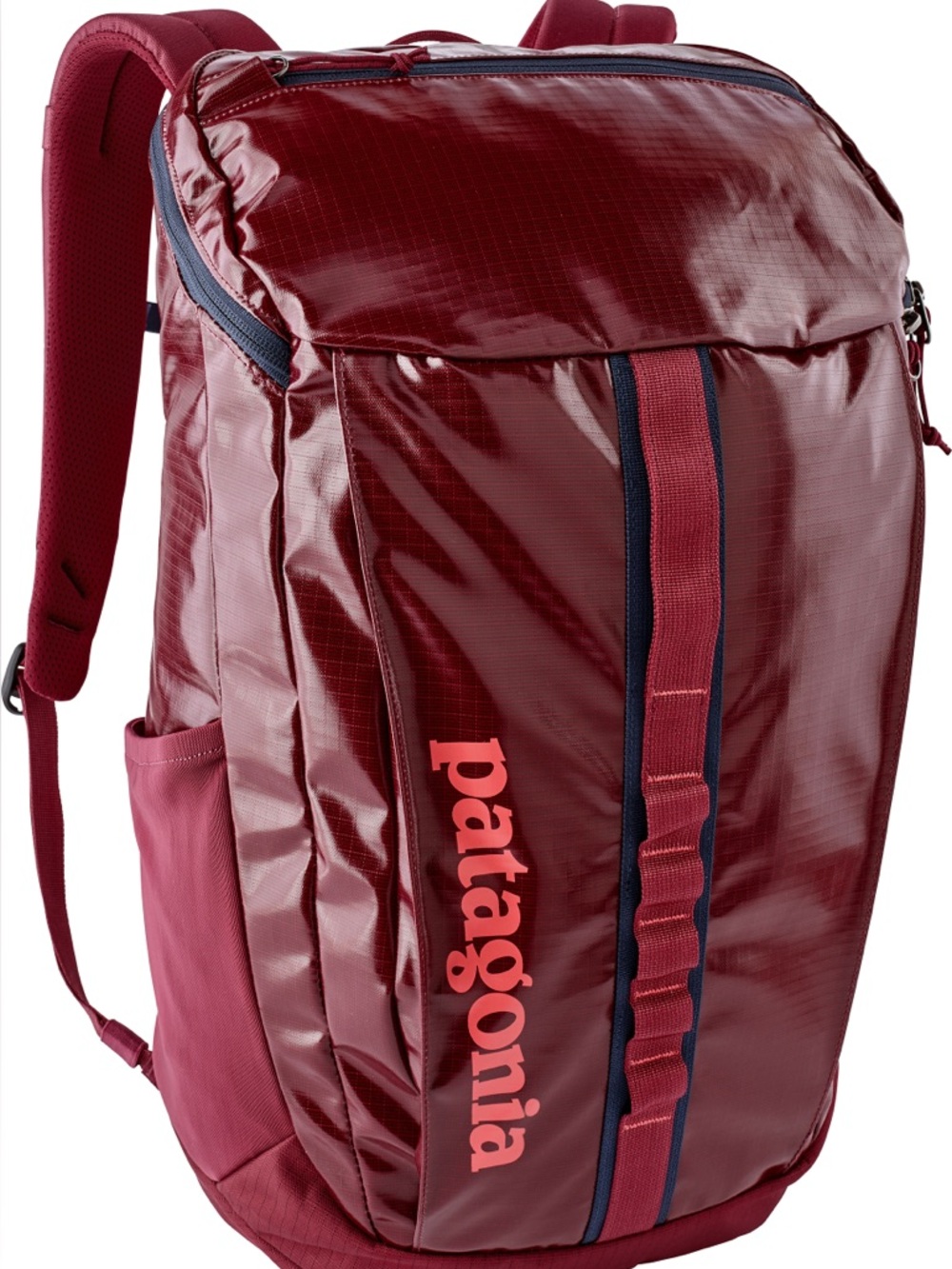 Patagonia ‘Black Hole’ 25L Maroon Backpack